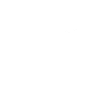 Berlin Bear