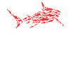 Poisson requin Requin-marteau Requin requin