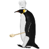 Penguin Chef Kitchen Bird Watcher