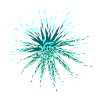 muster symbol