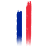 drapeau Français
