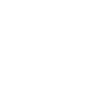 Future Director