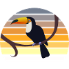 Toucan exotic bird