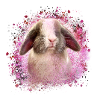 rabbit, rabbit, blue, graffiti, painting,