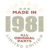 Vintage retro 1981