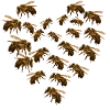 Bee Bees Heart
