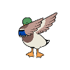 Ente What The Duck