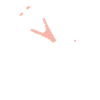 Nurse Stethoscope Vet Nurse