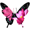Butterfly Invitations - Flying Lotus