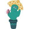Cactus mexicain