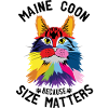 Bunte Maine Coon