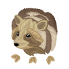 Waschbär