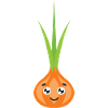 Onion