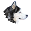 Dog Husky Polygon