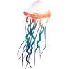 Jellyfish - Underwater with sunset