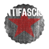 ANTIFA ROTER STERN