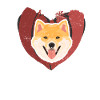 Saint-Valentin Shiba Inu