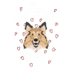 Saint-Valentin Shetland Sheepdog Sheltie