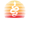 Anaconda
