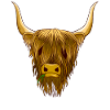 Scottish Highland Cattle