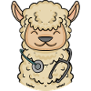 Animal Veterinarian Veterinary Medicine Gift