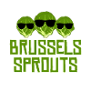 Brussels sprouts vegetables Brussels Sprouts