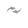 Orca Orca Tiergeschenk