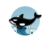 Orca Orca Tiergeschenk