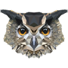 Owl Polygon Owl