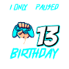 13th Birthday Gamer Gaming