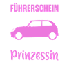 Auto Führerschein bestanden