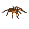 Tarentule - Tarantula Squad