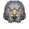 Eagle Polygon Bird of Prey