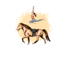 Crazy Horse Lady