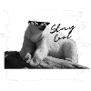 Eisbär - stay cool