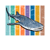 Requin-baleine Plongeur Requin