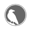 The Raven