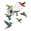 Hummbingbird Dandelion Humminbird Hummingbird
