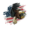 Patriotic USA Flag Bald Eagle