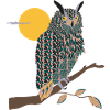 Owl brings me luck