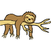 Happy hanging sloth