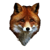 Renard