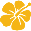 HIBISCUSjaune
