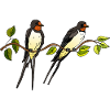 Vögel