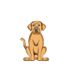 Broholmer