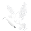 No War Friedenstaube