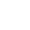 Ant