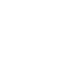 Das Flugzeug