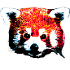 Petit panda