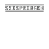 Skispringen